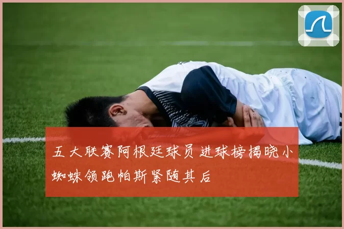 五大联赛阿根廷球员进球榜揭晓小蜘蛛领跑帕斯紧随其后